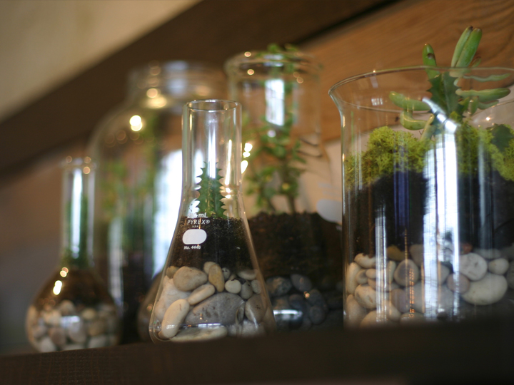 Stone Creek Coffee :: Radio Milwaukee